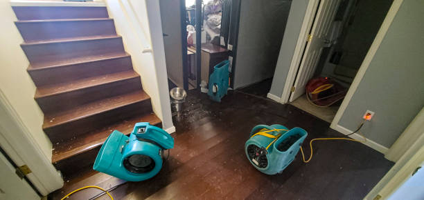 Best Water damage mitigation services  in Barbourville, KY
