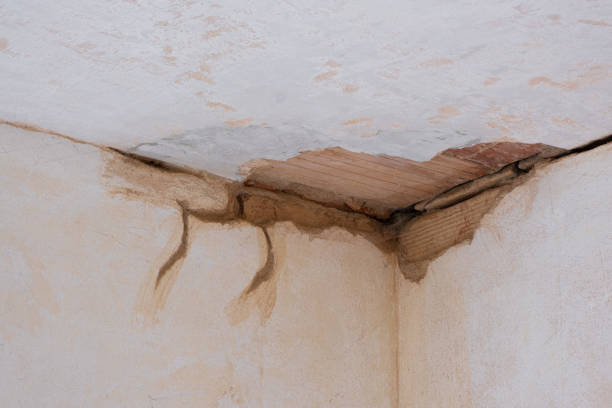 Best Local water damage restoration  in Barbourville, KY