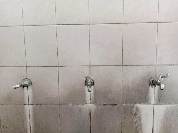 Best Ceiling water damage repair  in Barbourville, KY